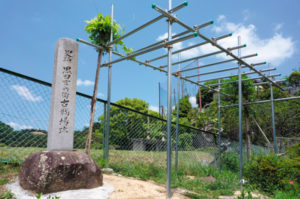 青山古戦場跡